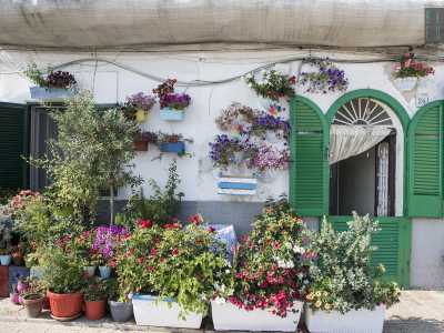 All'improvviso un angolo di paradiso pullulante di piante e fiori colorati spezza la rigidit� della fortificazione. Si tratta di una casetta con le persiane verdi che all�esterno presenta un vero e proprio giardino  con aiuole e vasi appoggiati sul pavimento o appesi alle pareti bianche